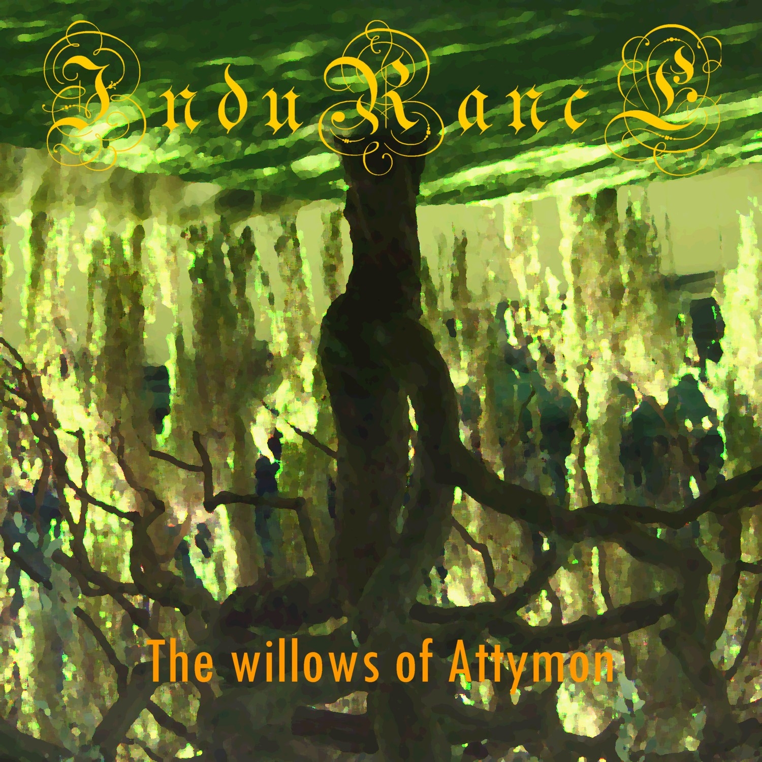 The Willows of Attymon